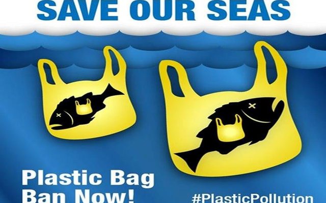 Free Bag World Day Save our Seas